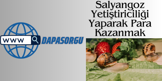 salyangoz para kazanma